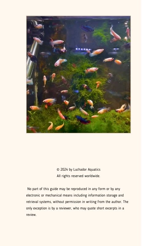 The Complete Eguide To Aquarium Fish Breeding